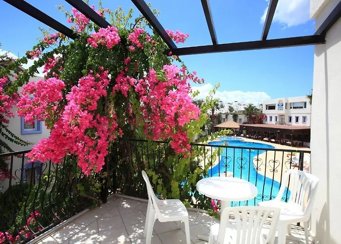 Club Paloma 3* بودروم