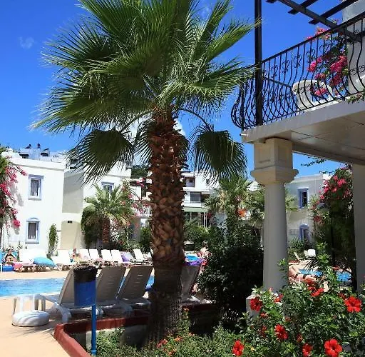 Club Paloma