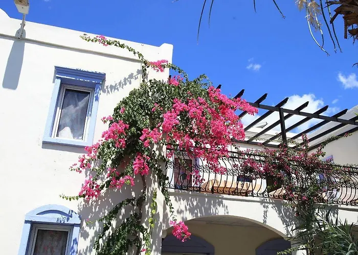 Club Paloma بودروم