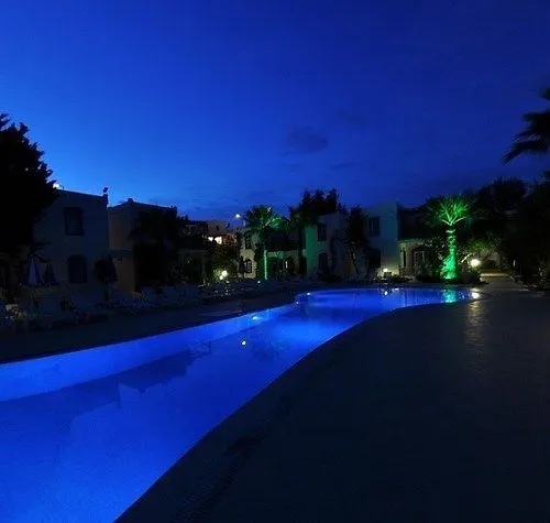 Club Paloma بودروم