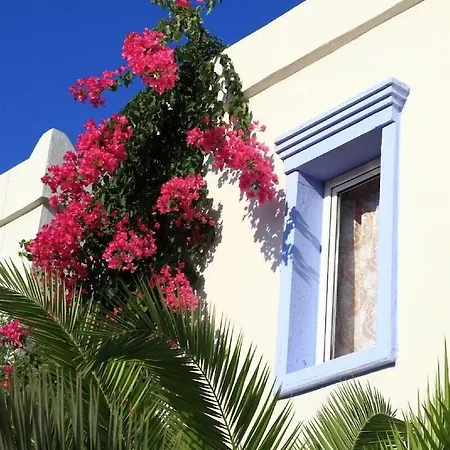Apart Otel Club Paloma Gümbet