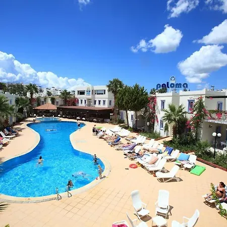 Club Paloma Apart Otel 2*