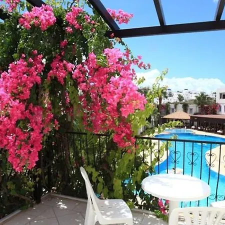 Club Paloma Apart Otel Gümbet