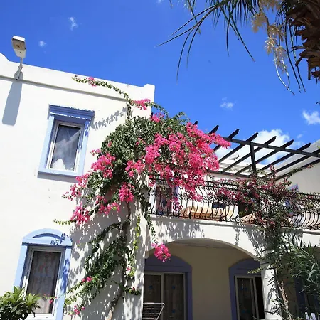 Club Paloma Гумбет