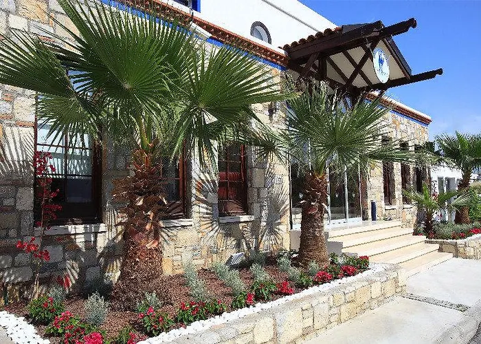 Club Paloma