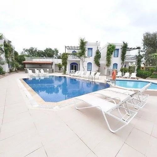 Club Paloma