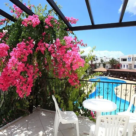 Club Paloma 3* Бодрум