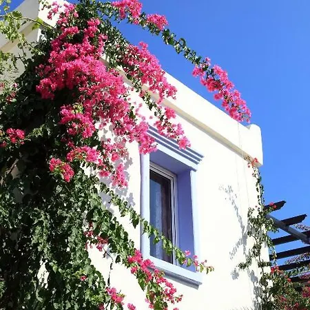 Club Paloma