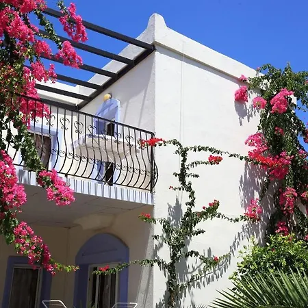 Club Paloma 3*