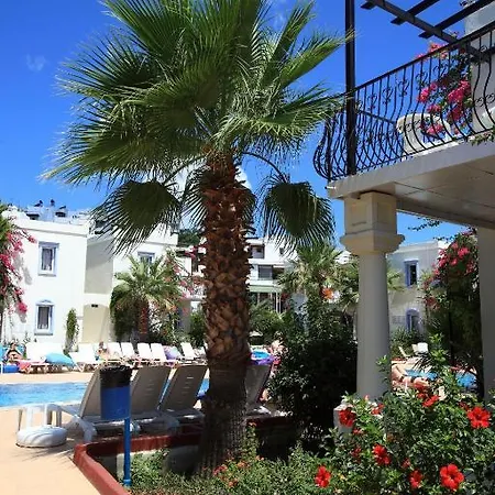 Club Paloma