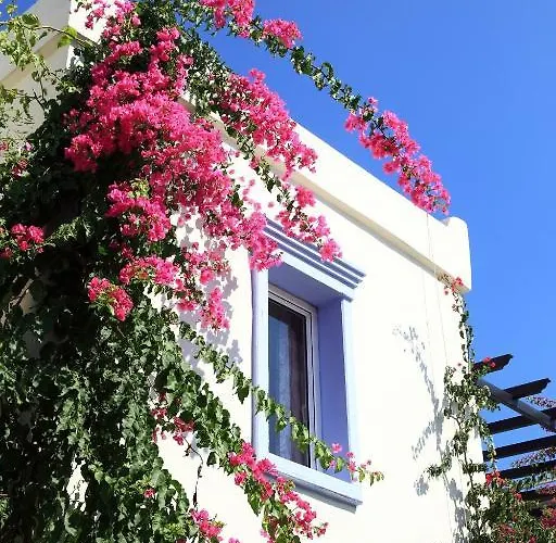 Club Paloma