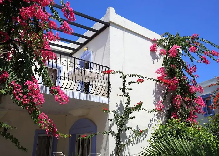 Club Paloma 3*