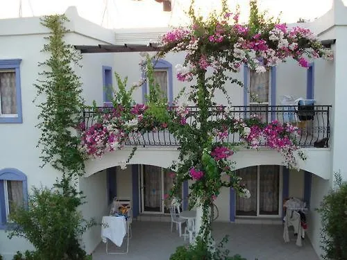 Club Paloma 3*